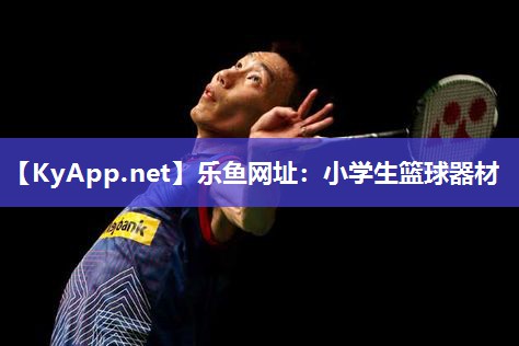 乐鱼网址：小学生篮球器材