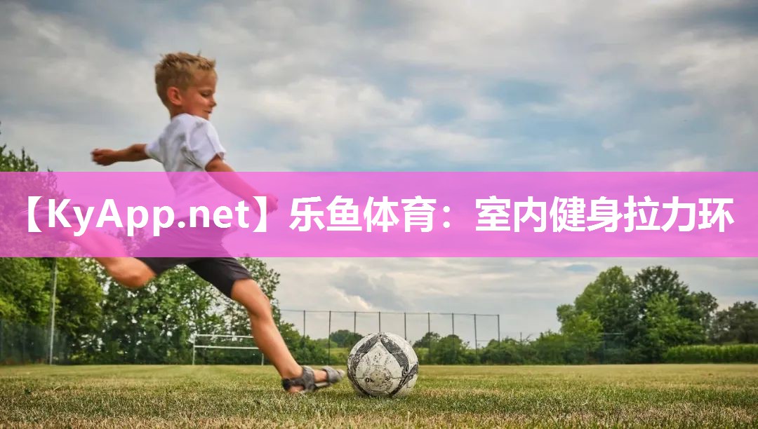 乐鱼体育：室内健身拉力环