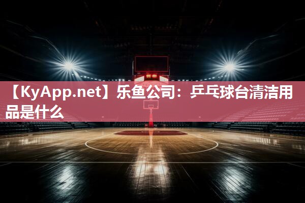 乐鱼公司：乒乓球台清洁用品是什么