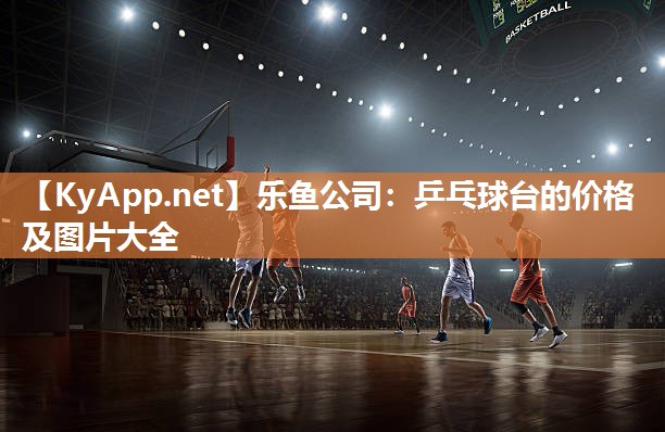 乐鱼公司：乒乓球台的价格及图片大全