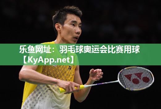 乐鱼网址：羽毛球奥运会比赛用球