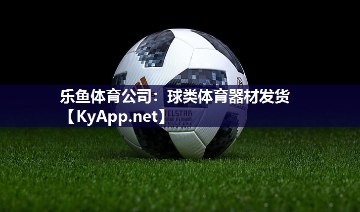 球类体育器材发货